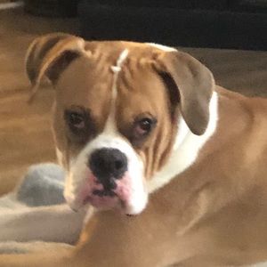 Meet your Posher, Heidi